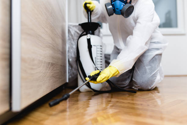 Best Ant Control Services  in Mars Hill, NC