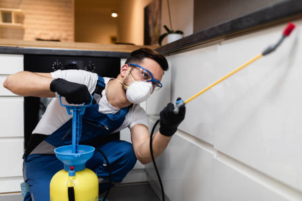 Best Flea Control Services  in Mars Hill, NC