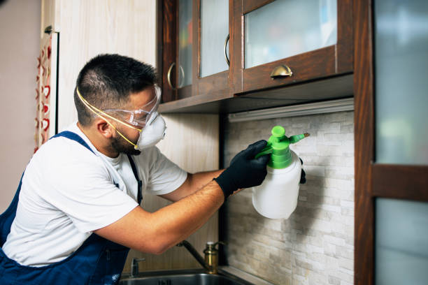 Best Best Pest Control Companies  in Mars Hill, NC
