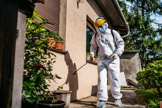 Reliable Mars Hill, NC Pest Control Solutions