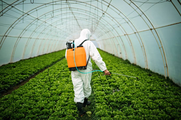 Best Pest Inspection Near Me  in Mars Hill, NC