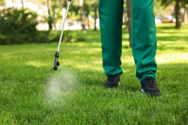 Best Pest Control Treatment  in Mars Hill, NC
