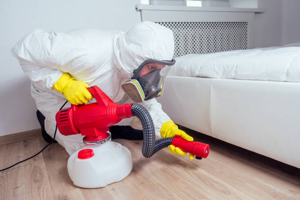 Best Wasp Removal Services  in Mars Hill, NC