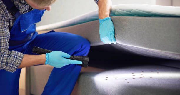 Best Wasp Removal Services  in Mars Hill, NC