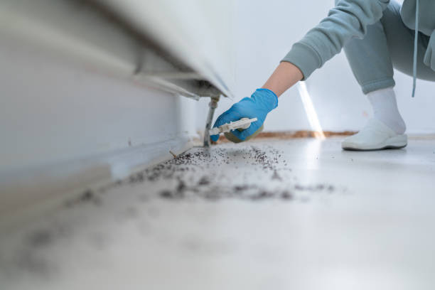 Mars Hill, NC Pest Control Company