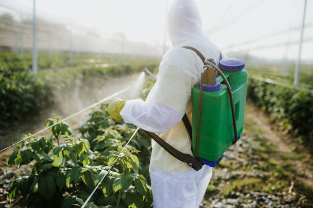 Best Affordable Pest Control Services  in Mars Hill, NC